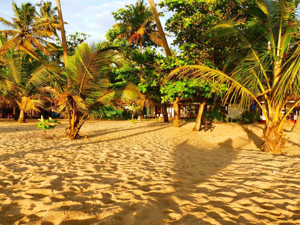 Marari Sealap Beach Villas Mararikulam Exterior foto